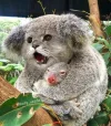B9gzKhFjdym-png__880.webp