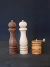 DSCN2770.webp
