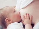 Nuckibude.webp