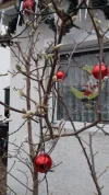 20201204_113501.webp