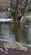 20201204_152042.webp