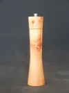 DSCN2776.webp