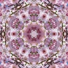 64278_mirror2.webp
