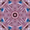 64278_mirror4.webp