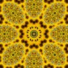 kaleidoscopeLime-20201206-085400_mirror2.jpg
