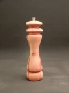 DSCN2780.webp