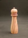 DSCN2781.webp