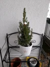 20201213_113056.webp