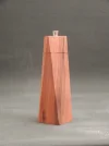 DSCN2786.webp
