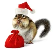 7 eichi weihnacht.webp