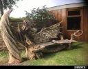 7 Drachen.webp