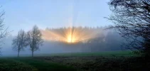 C5661700-6306-4632-8138-41B2B8808EE8.webp