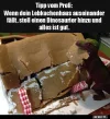 7 Lebkuchenprofi.webp