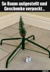 7 baum.webp
