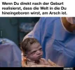 7 arsch.webp