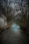 E21068D7-A942-4A15-8487-BE22763B97FC.webp