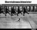 7 marschieren.webp