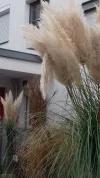 20201214_144711.webp