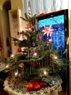20201227_150156.webp