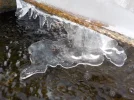DSCN3320.webp