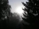 PICT0004.webp