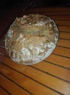 roggenbrot.webp