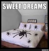 Sweet dreams.webp