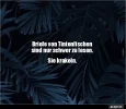 7 Tintenfische.webp