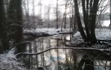Winter_Sulzbach_1.webp