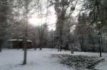 Winter_Kurpark_1.webp
