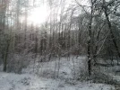 Winter_Kurpark_3.webp