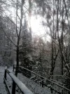 Winter_Kurpark_2.jpg