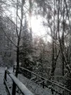 Winter_Kurpark_2.webp