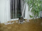 Lucy_5.webp