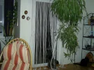 Lucy_4.webp