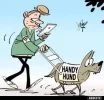 7 handy hund.webp