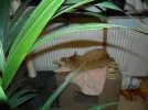SAM_0023.webp