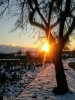 Winter_Sonnenuntergang_2.jpg