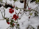 20210112_123222.webp