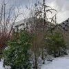20210113_110809.webp