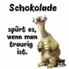 7 Schokolade versteht.webp