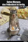 7 Eichhörnchen frühstück.webp