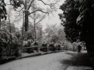 DSCN4488.webp