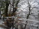 DSCN4492.webp