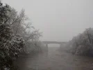 DSCN4493.webp