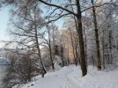 DSCN4521.webp