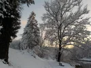 DSCN4528.webp