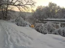 DSCN4530.webp