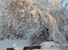 DSCN4517.webp