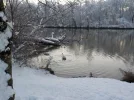 DSCN4539.webp